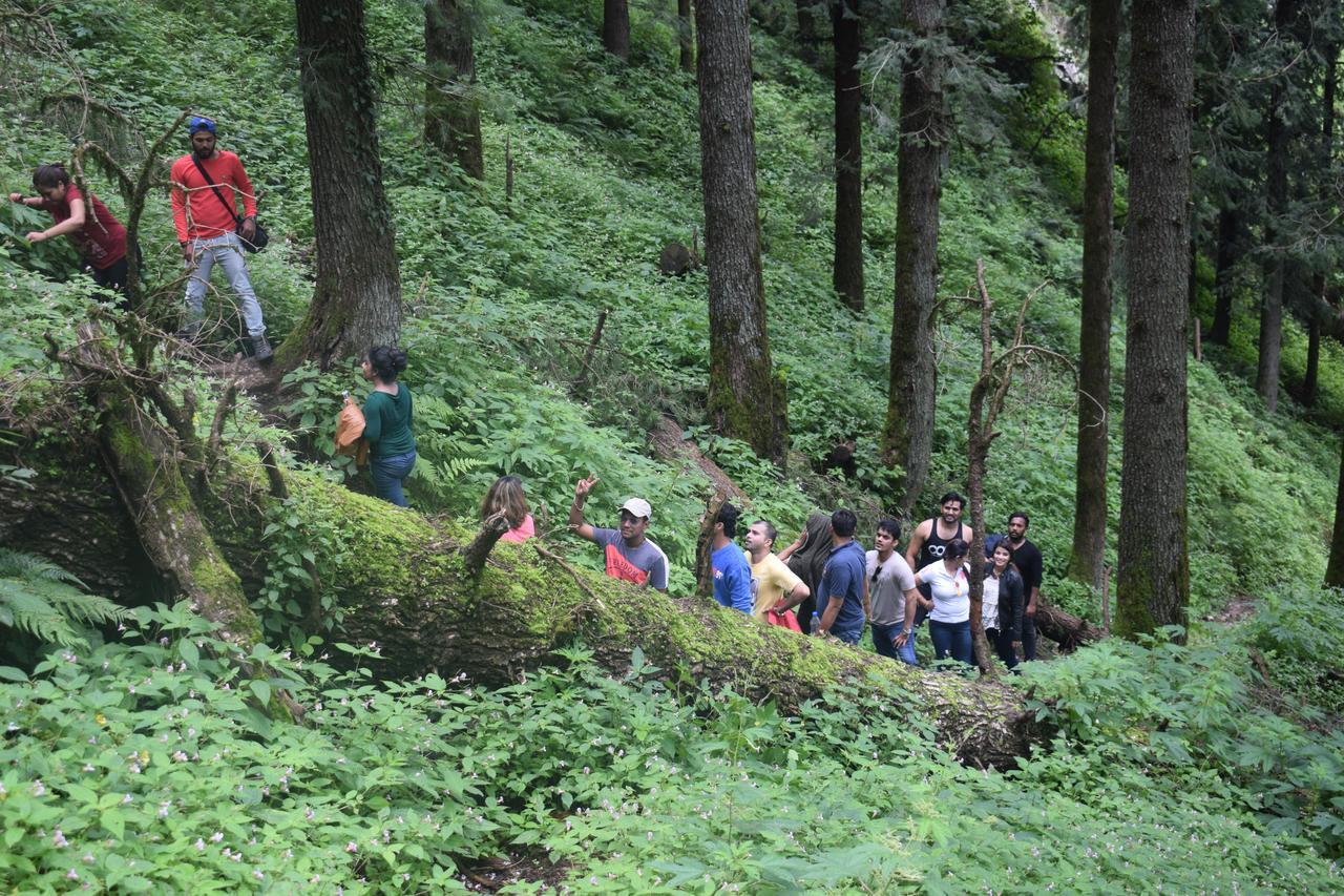 Ghughuti Resort Mussoorie Bagian luar foto
